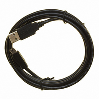 CBL USB A-MNI B CON 6' 26/28 AWG
