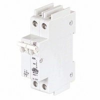 CIRCUIT BRKR 20A 2POLE RAIL MNT