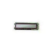 LCD Character Display Modules InfoVue Std 24x2 STN, Reflective