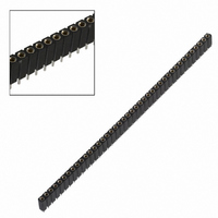 CONN SOCKET STRIP 41PIN .100 STR