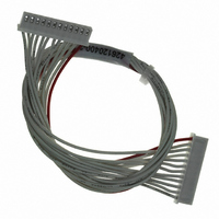 CABLE OSD 12-WAY 300MM