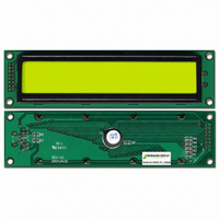 LCD MOD CHAR 1X16 Y/G TRANSFL